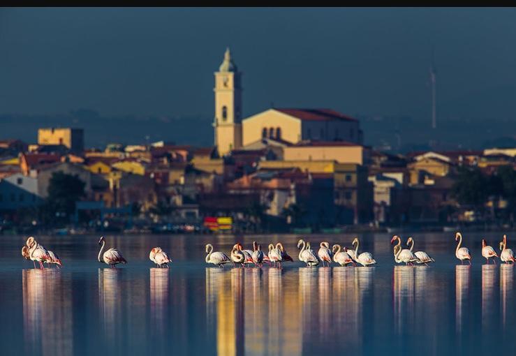 Casale Villa Giulia Marina Di Lesina Extérieur photo